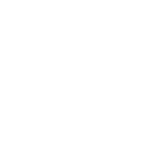 ONLINE SHOP